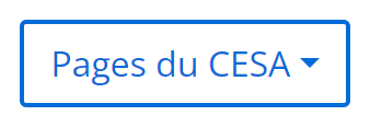 Un bouton étiqueté « Page du CESA ».